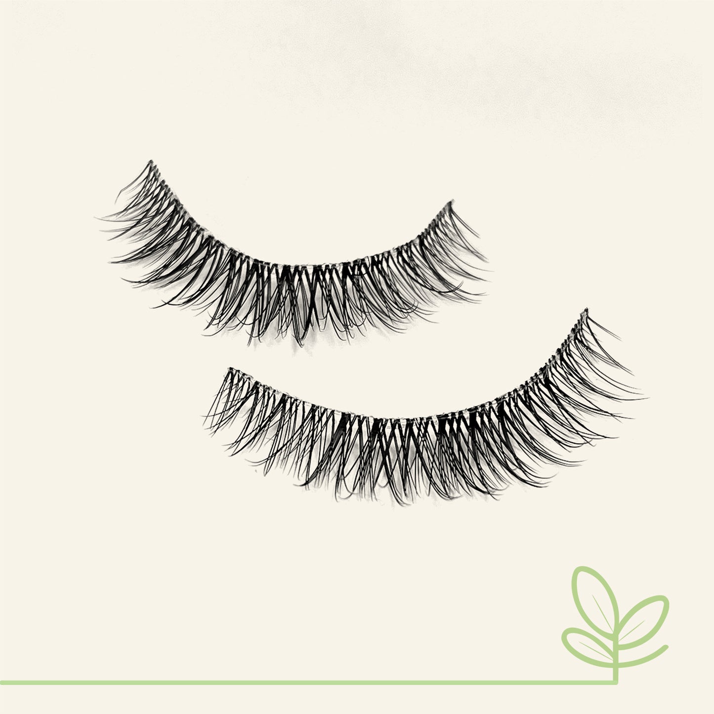 DAWN Natural Lashes