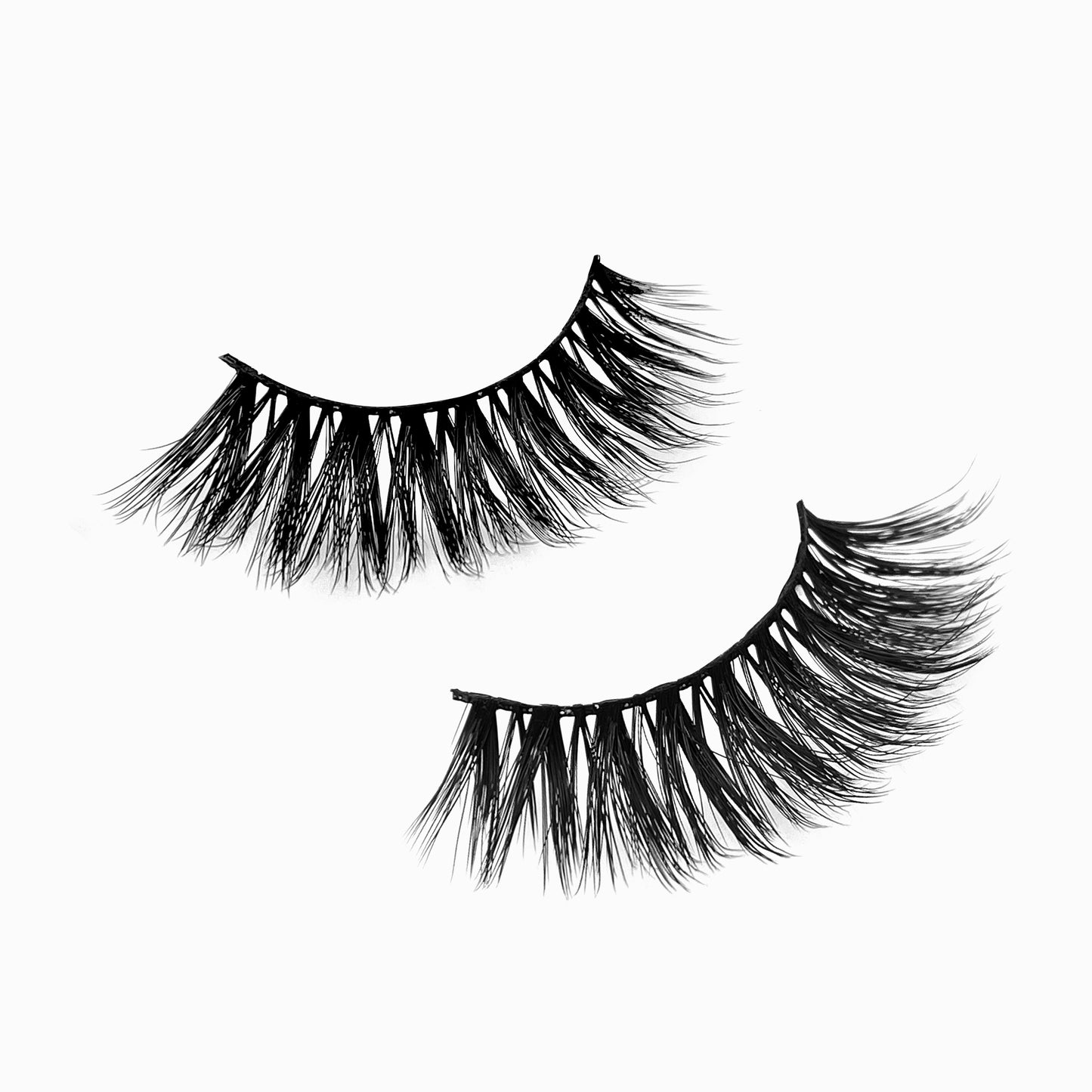 Farah Party Lashes