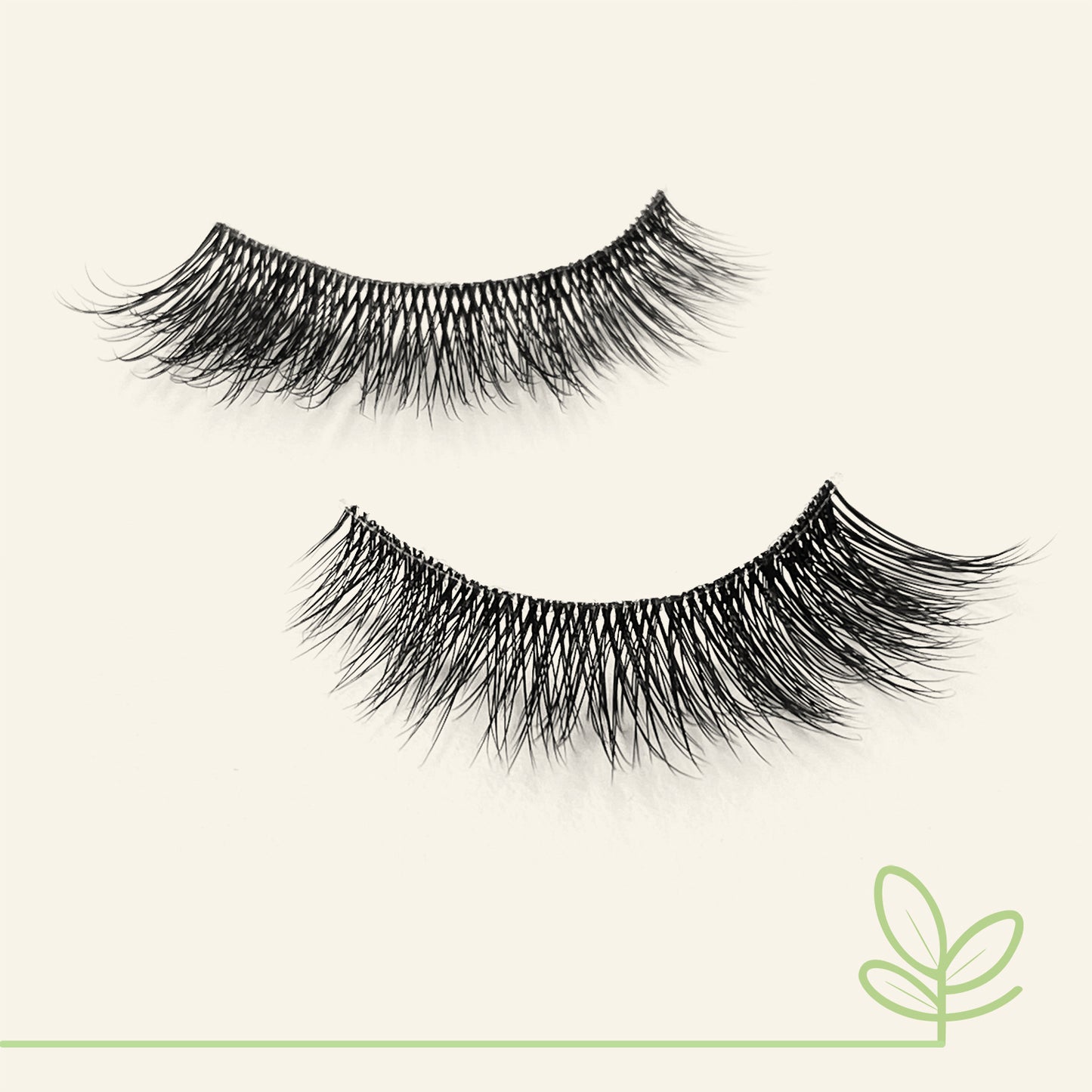 MAPLE Natural Lashes